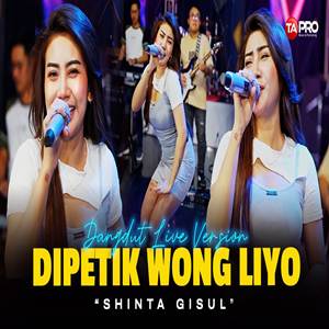 Shinta Gisul Dipetik Wong Liyo (Dangdut Version) Cover mp3