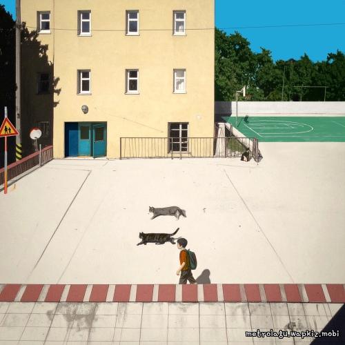 Half Day by eAeon