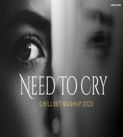 Need To Cry Emotion Mashup 2023 (Lofi Mashup)