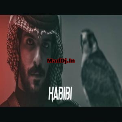 Habibi (Lofi Mix)