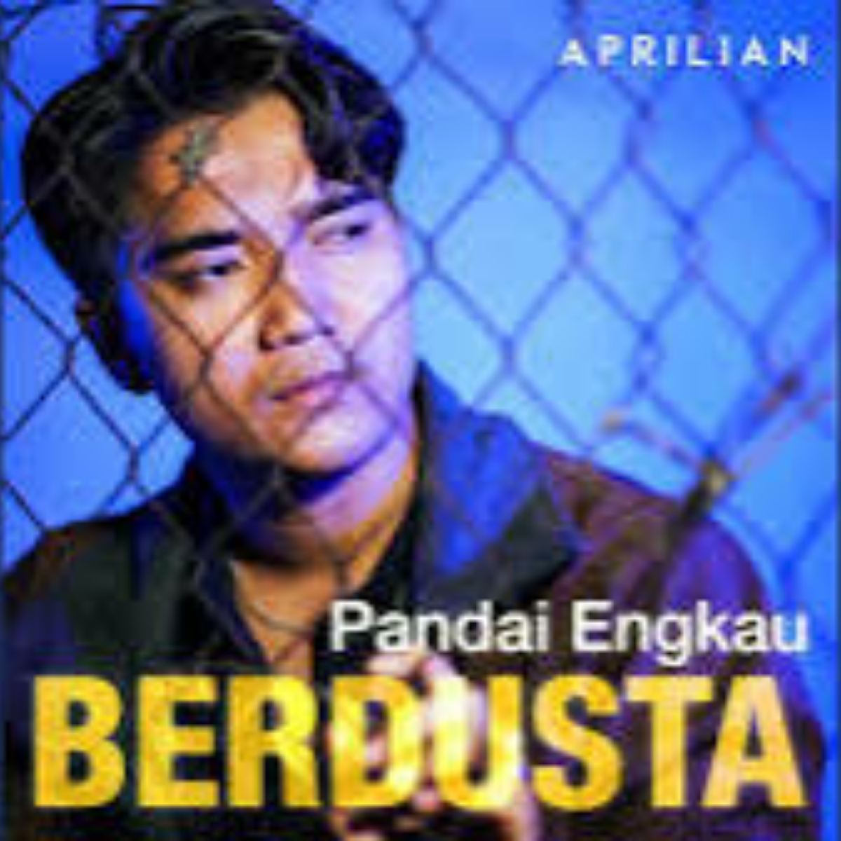 Aprilian - Aprilian - Pandai Engkau Berdusta Cover mp3