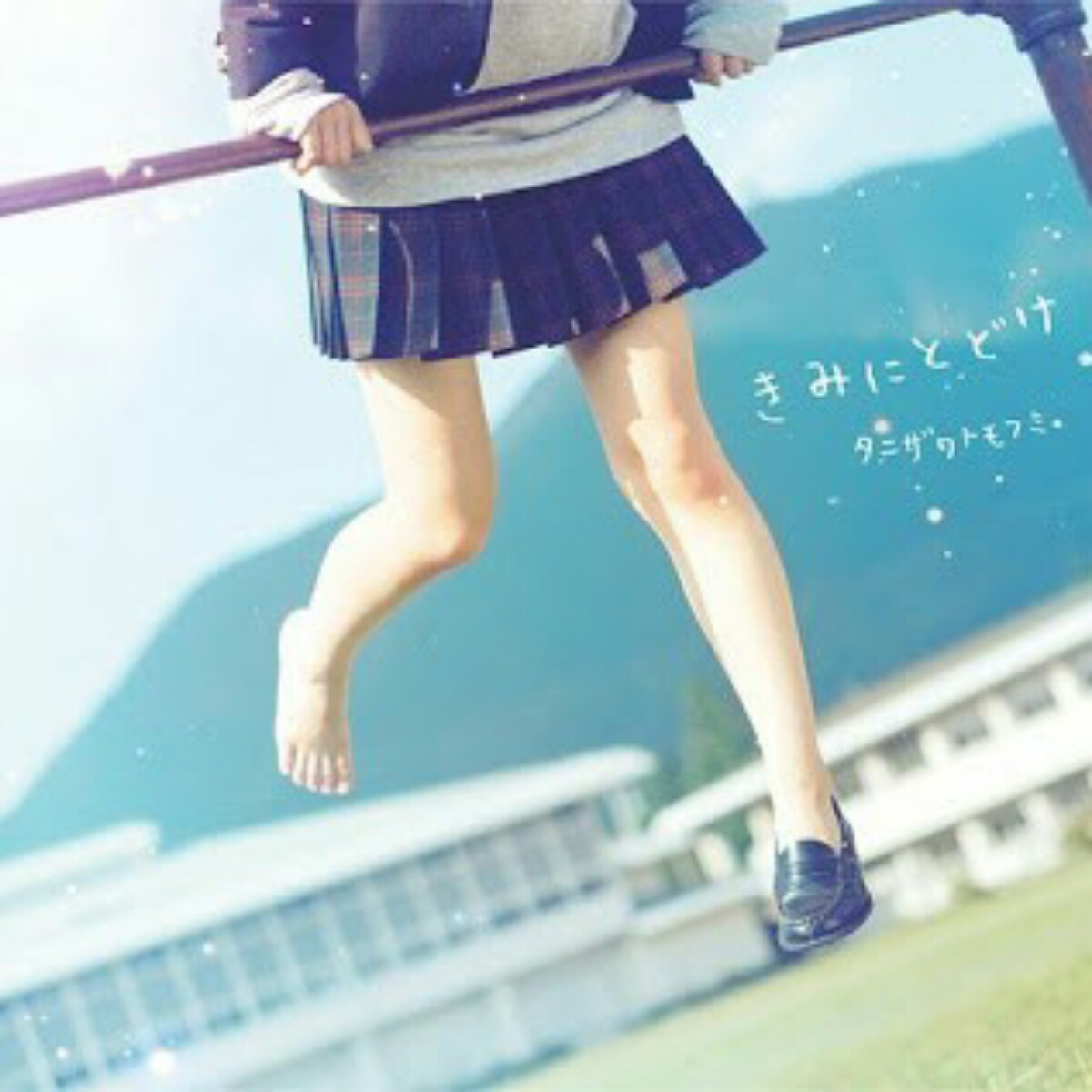 Tanizawa Tomofumi - Kimi ni Todoke