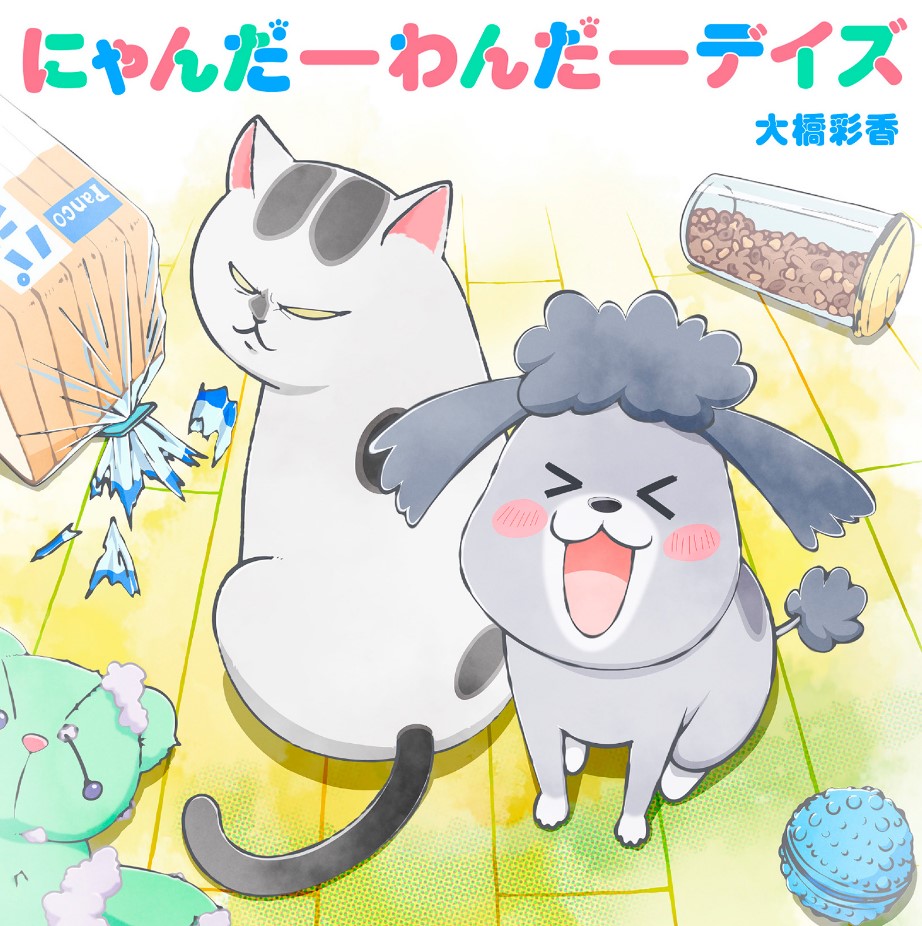 Ayaka Ohashi - Nyander Wonder Days