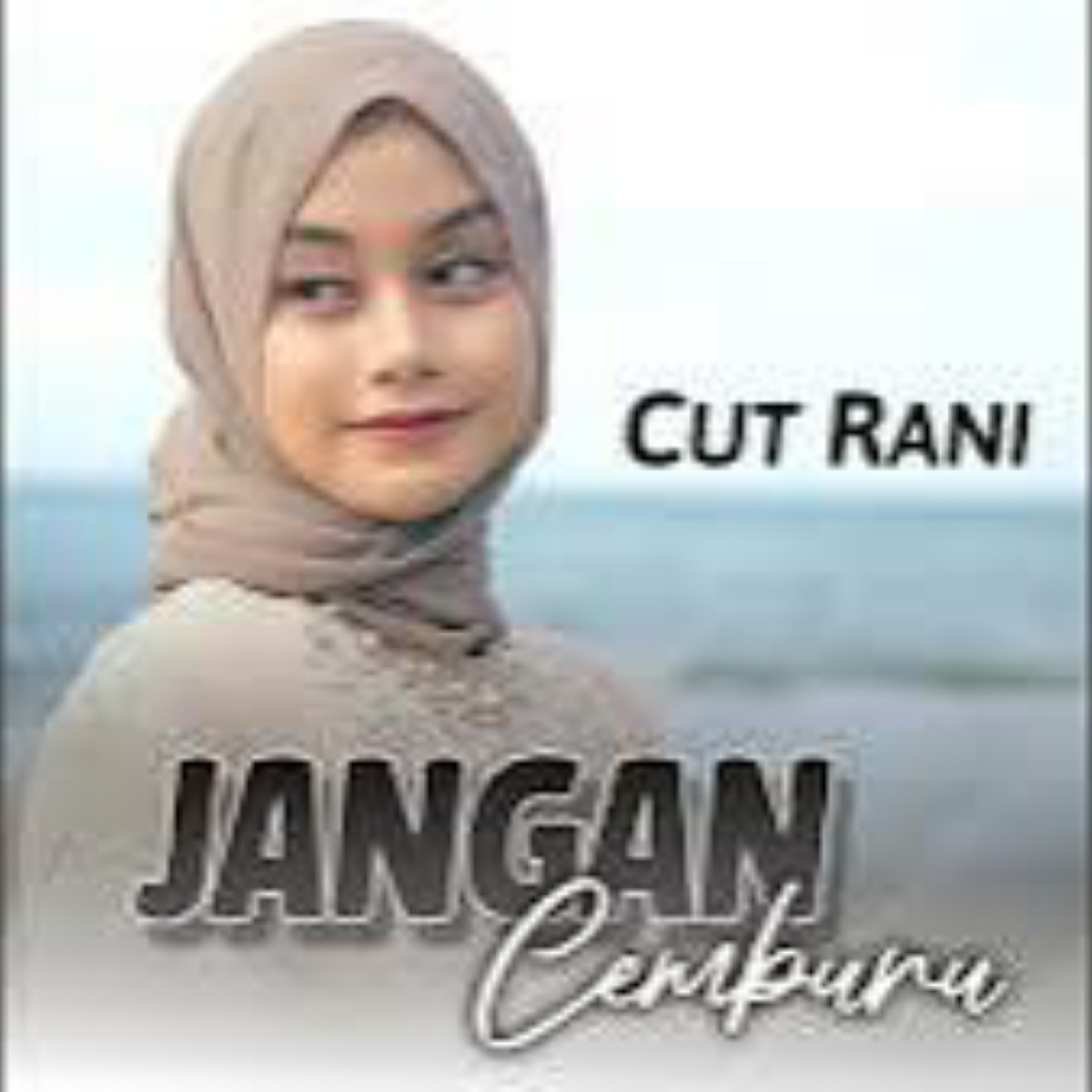 Cut Rani Auliza