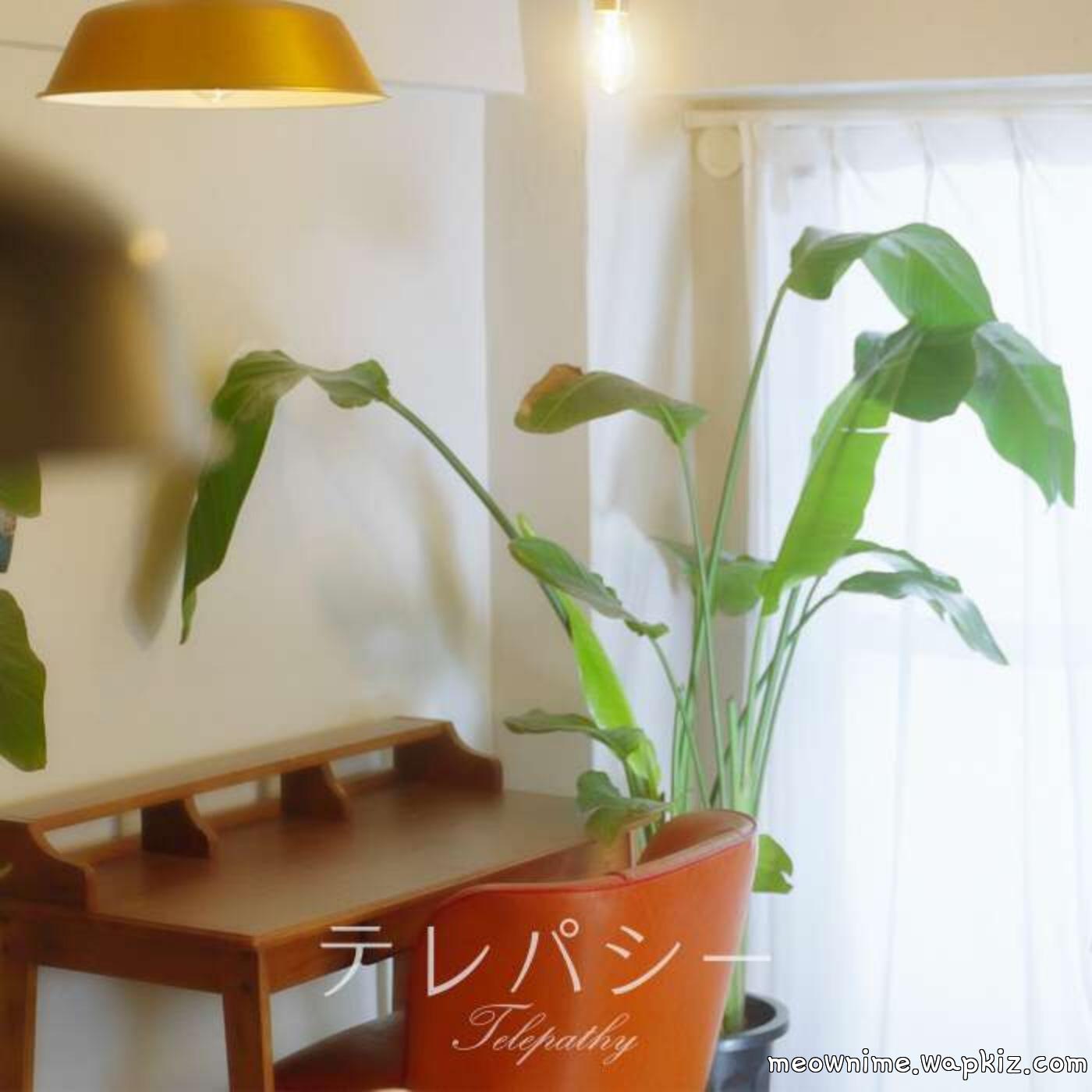 Mugendai Mewtype - Telepathy Mugendai Mewtype - Telepathy