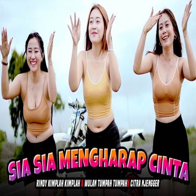 Sia Sia Mengharap Cinta