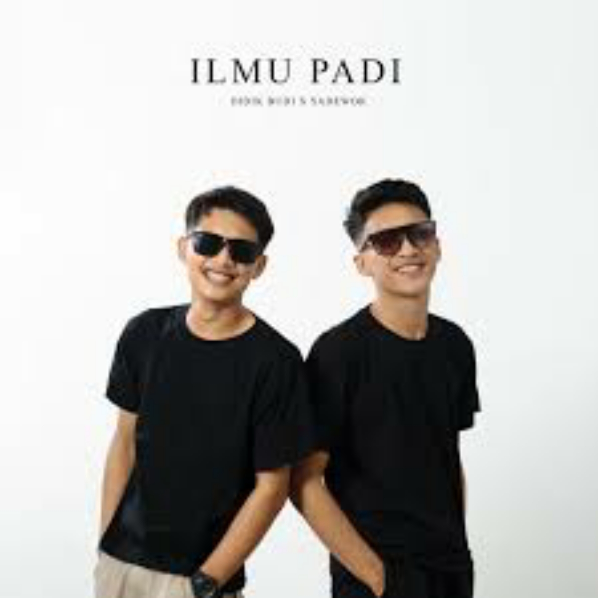 Didik Budi Ilmu Padi Feat. Sadewok Mp3