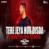 Tere Jeya Hor Disda (Lofi Mix)