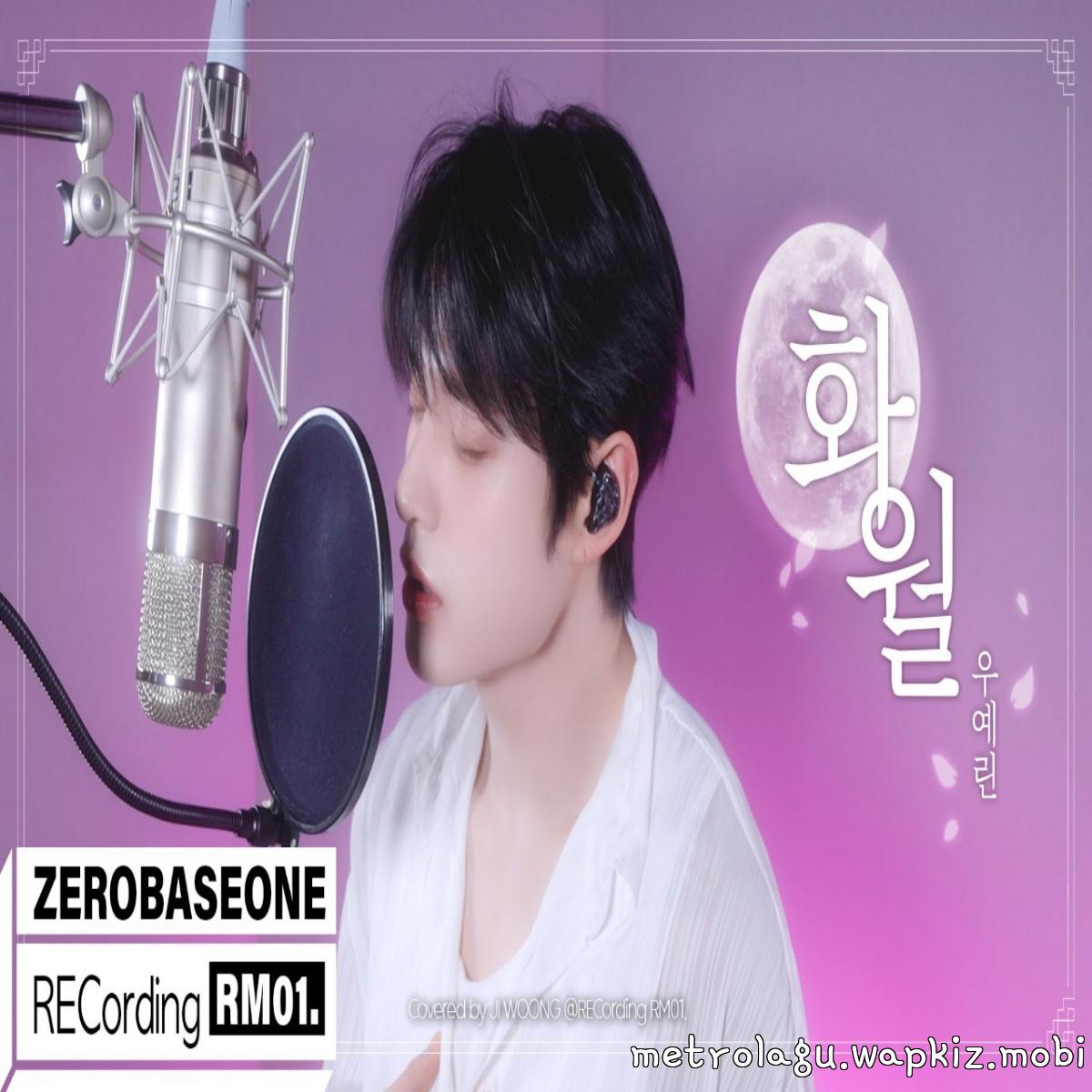 Jiwoong ZEROBASEONE - Night Flower Mp3