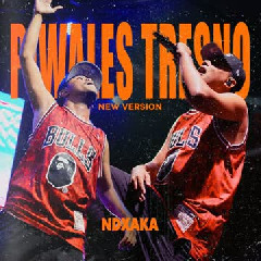 NDX AKA - NDX AKA - Piwales Tresno Cover mp3