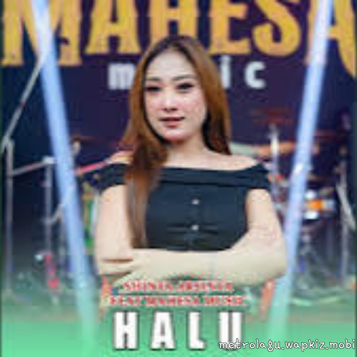 Shinta Arsinta - Halu Mp3