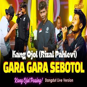 Rizal Pahlevi Gara Gara Sebotol Cover mp3