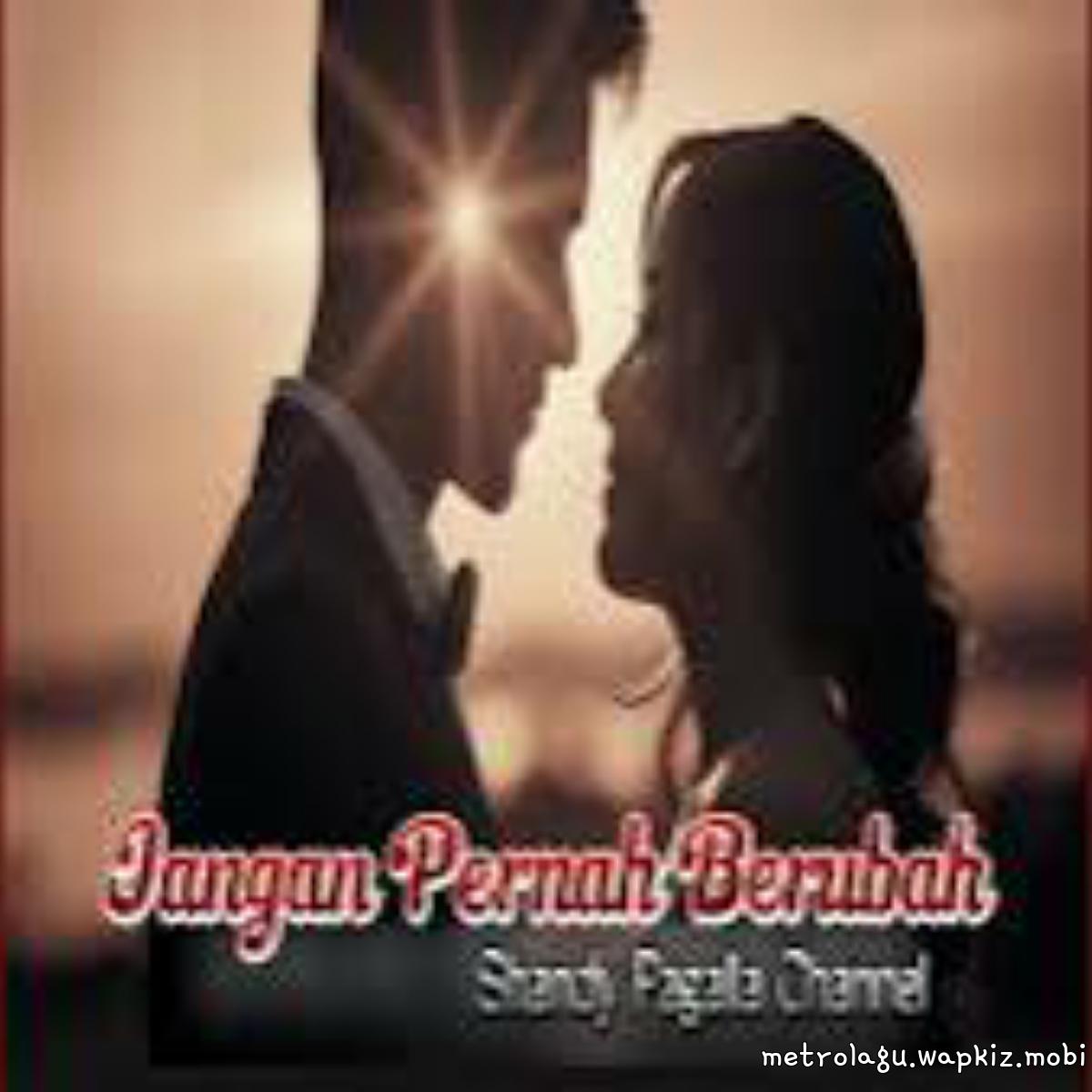 Shandy Pagalla Channel - Jangan Pernah Berubah Mp3