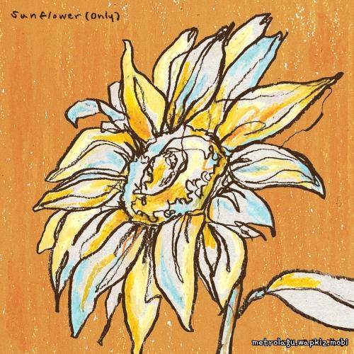 Sunflower(Only) by Lee Jun Hyung