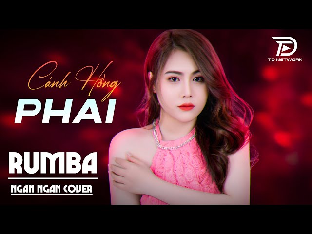 CÁNH HỒNG PHAI Rumba - Ngân Ngân Cover