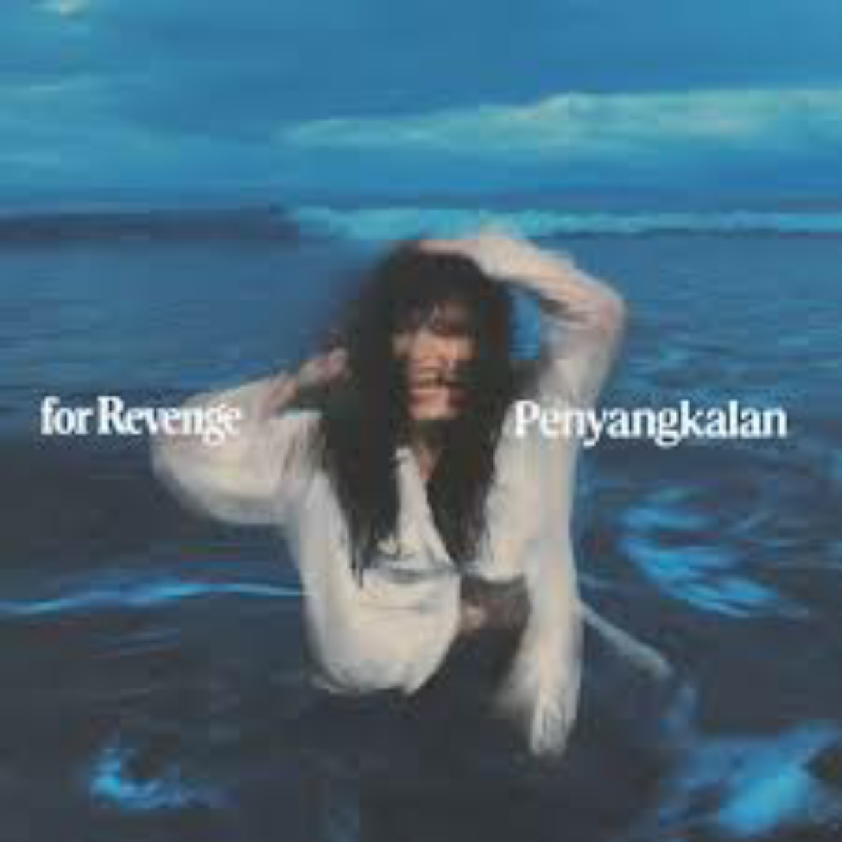 For Revenge Penyangkalan Mp3