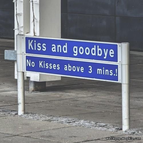 haan. - Goodbye My Dear Lover haan. - Goodbye My Dear Lover