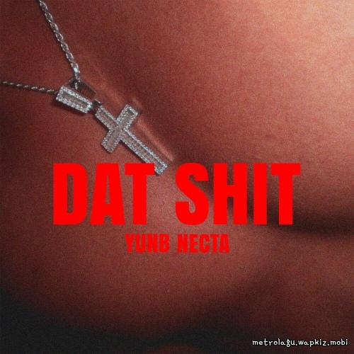 DAT SHIT by YUNB & NECTA