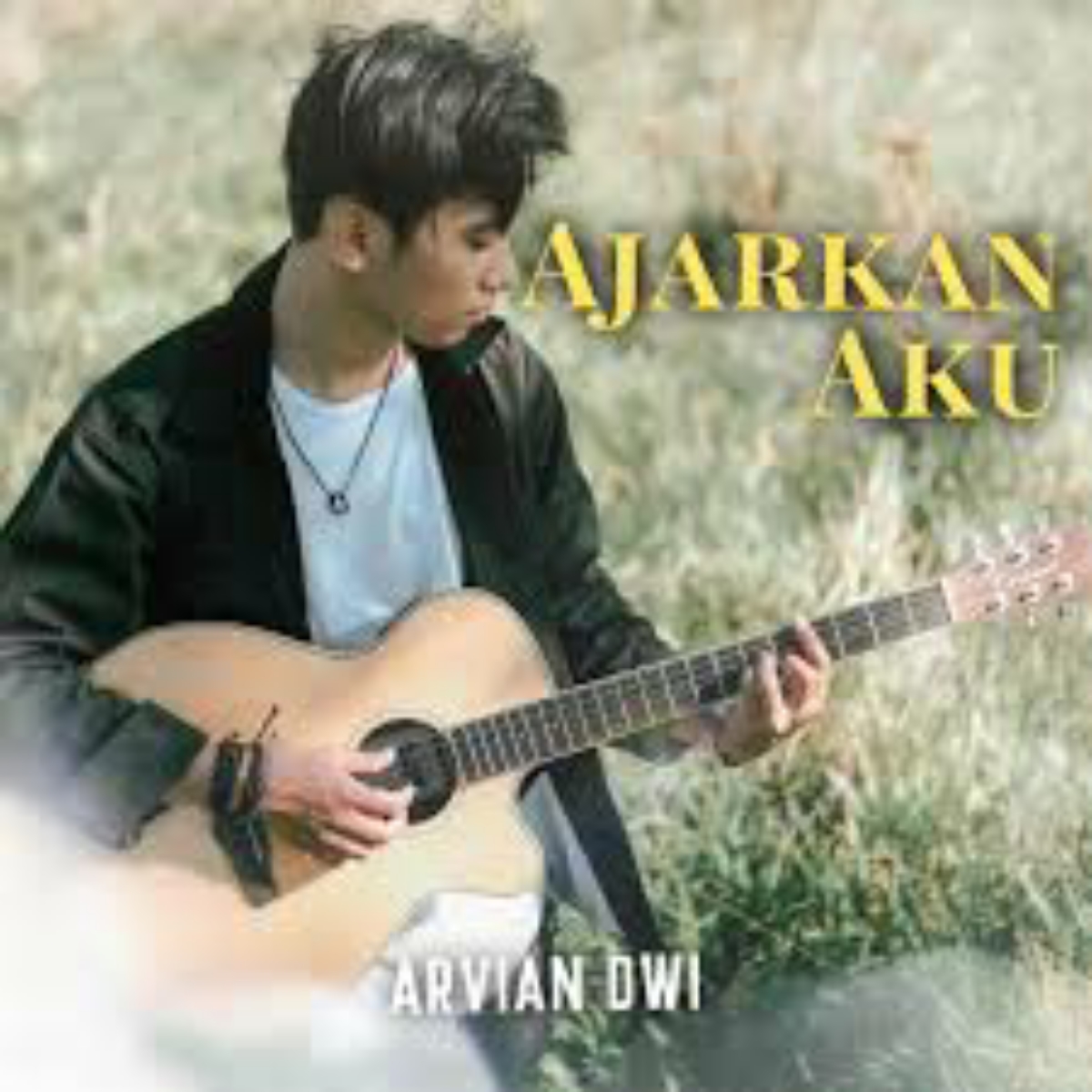 Arvian Dwi
