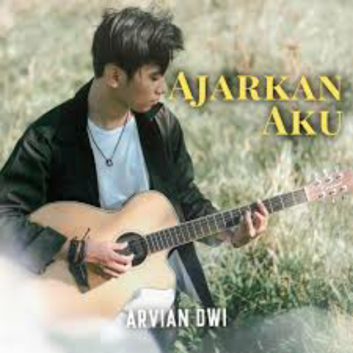 Arvian Dwi Bagaimana Dengan Aku Mp3