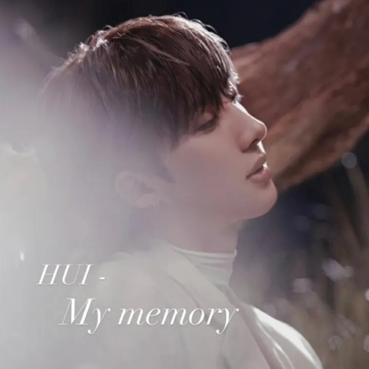 HUI - My Memory