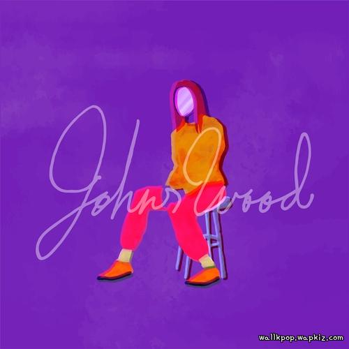 JOHNSWOOD - Plastic Paradise Mp3
