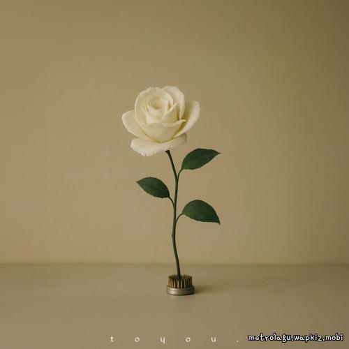 Paper Bloom by toyou.