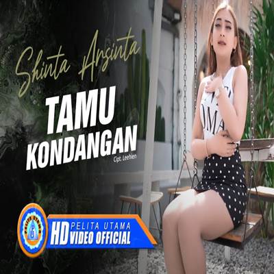 Shinta Arsinta Shinta Arsinta Tamu Kondangan Mp3