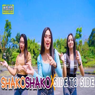 Dj Viral Om Shako Shako X Side To Side