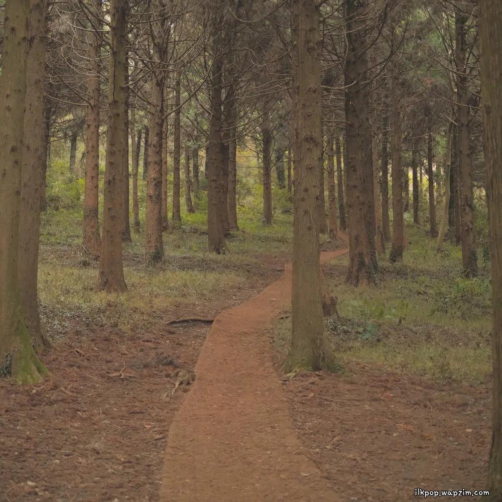 Joy of All by Choyoung