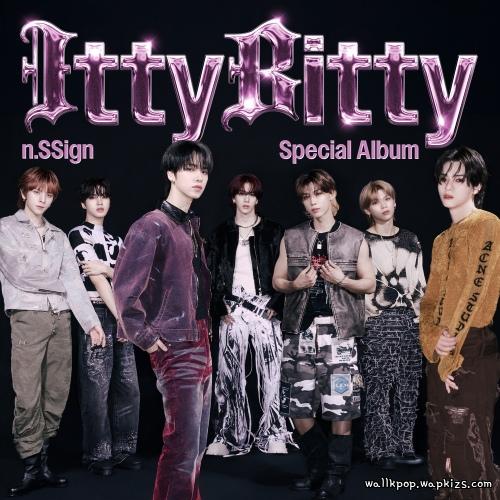 n.SSign - Itty Bitty.mp3