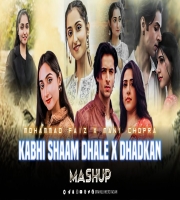 Khabi Shaam Dhale X Dhadkan (Lofi Mashup)