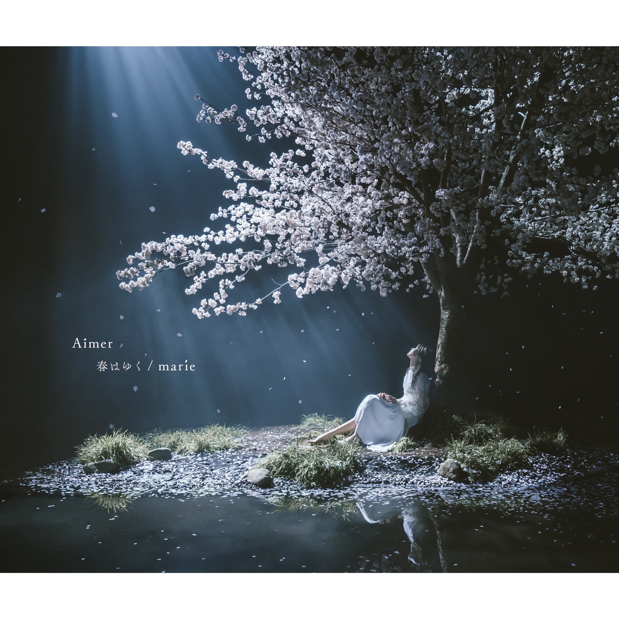 Aimer - marie