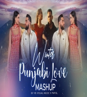 Winter Punjabi Love Mashup 2024