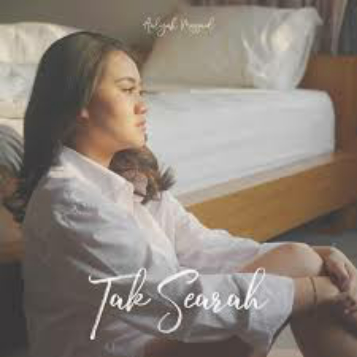 Aaliyah Massaid - Aaliyah Massaid - Tak Searah Cover mp3