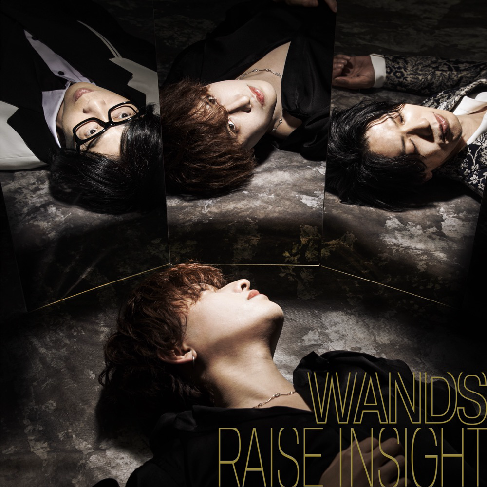 WANDS - RAISE INSIGHT