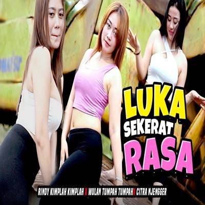 Wulan Tumpah Tumpah X Rindy Kimplah Kimplah X Citra Njengger Luka Sekerat Rasa Mp3