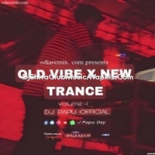 Salwar Suit Bali (Edm x Trance) Dj Papu Official Remix   