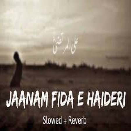 Jaanam Fida E Haideri (Lofi Mix)