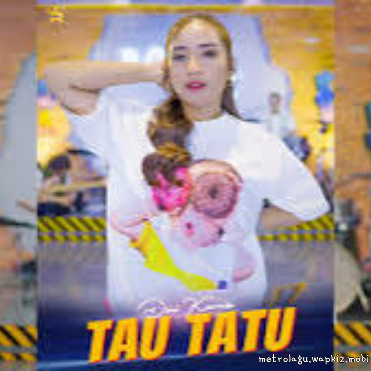 Dini Kurnia - Tau Tatu Mp3