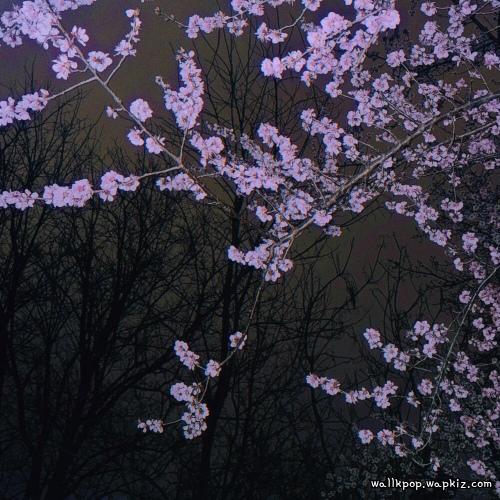 itssiu - Say you will… Mp3