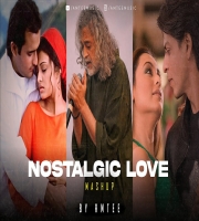 Nostalgic Love Mashup by Amtee