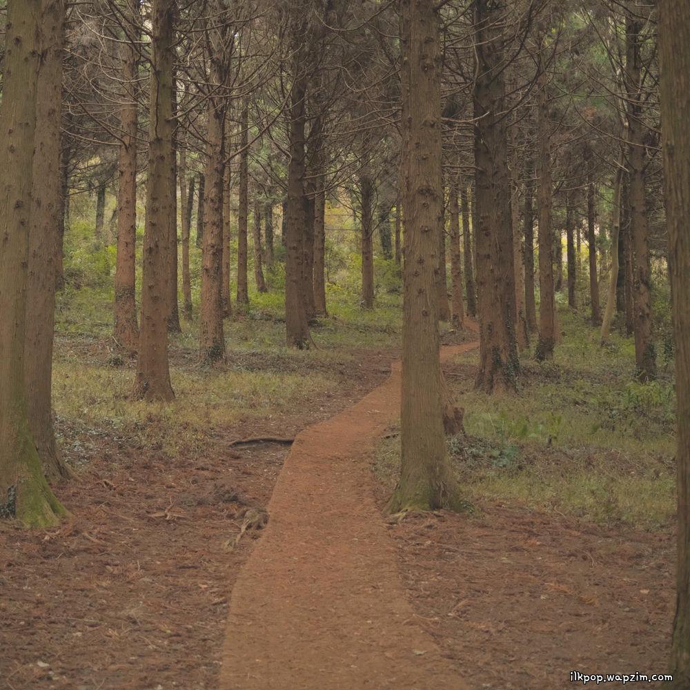 Gift (Joy of All) by Choyoung