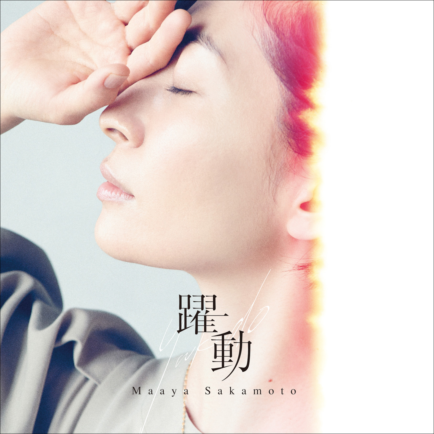 Maaya Sakamoto - Yakudou