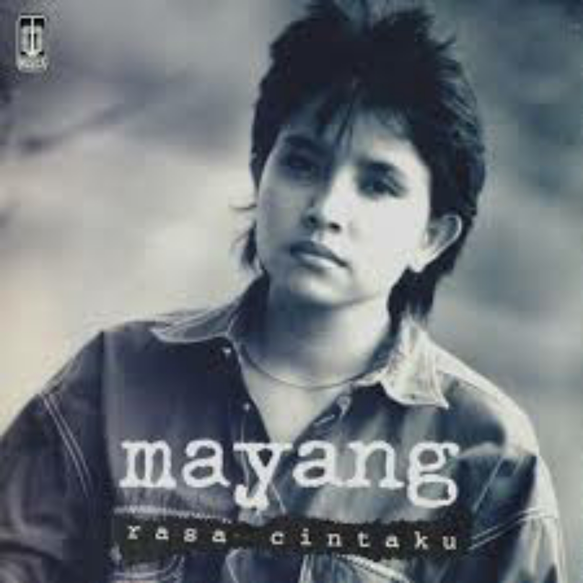 Mayang Sari - Rasa Cintaku Mp3