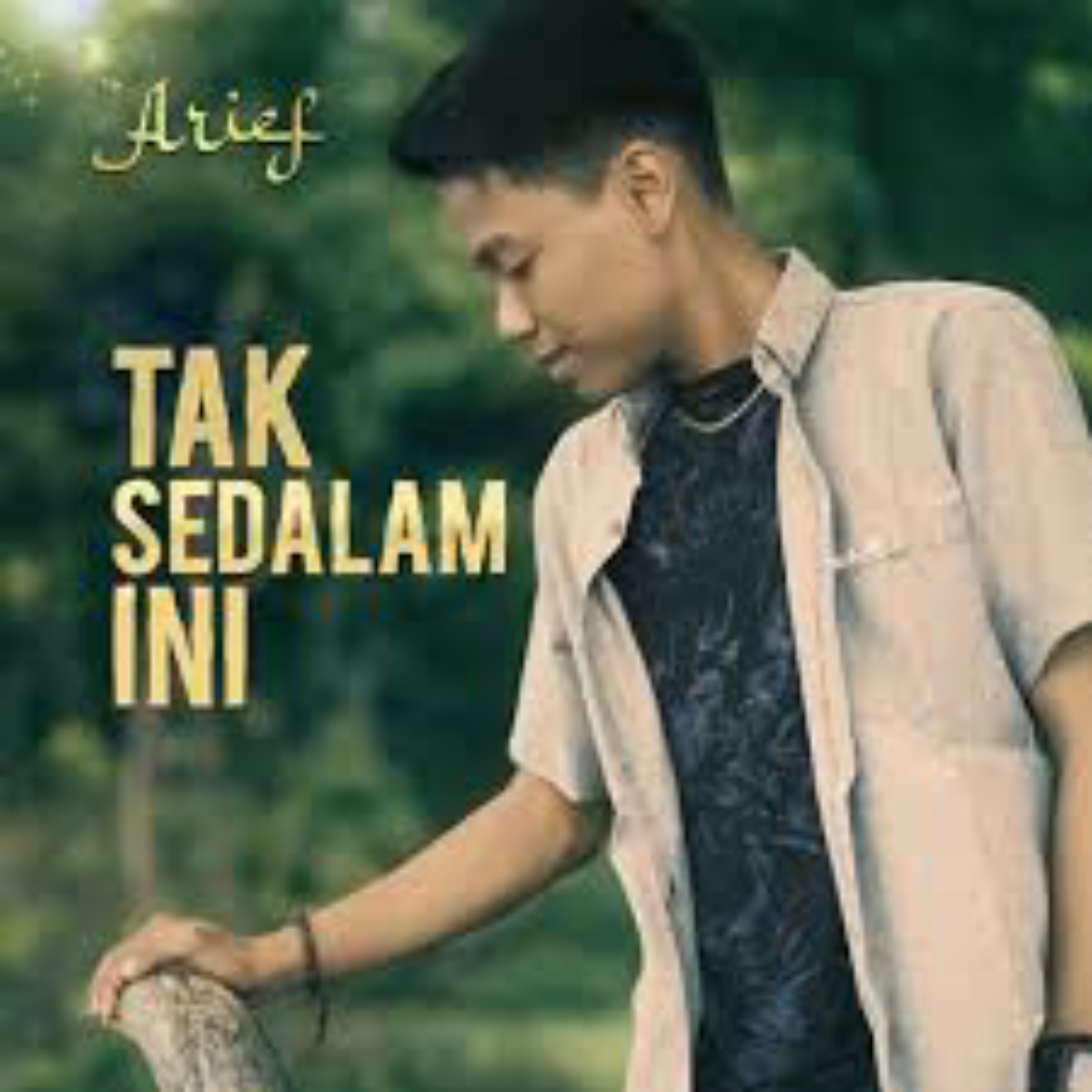 Arief - Tak Sedalam Ini