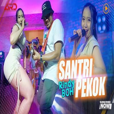 Rindy BOH Santri Pekok Mp3