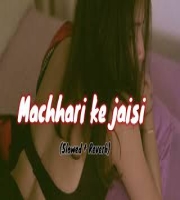 Machhari Ke Jaisi Tadpe Jawani - Bhojpuri (Lofi Mix)