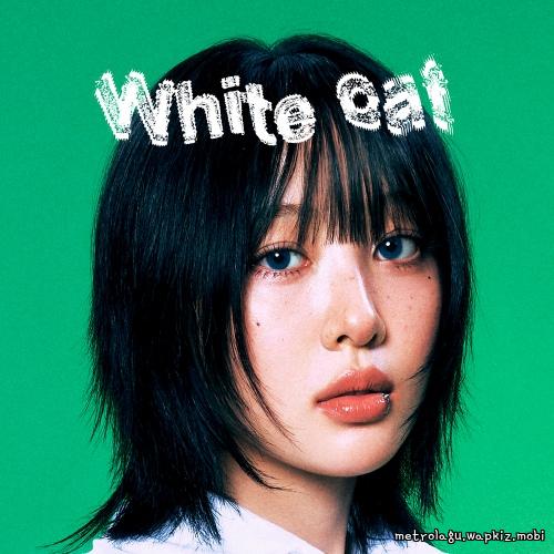 White cat by Yves