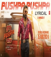 PUSHPA PUSHPA (Pushpa 2) Song